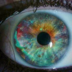 Meet your Posher, Dgarnz